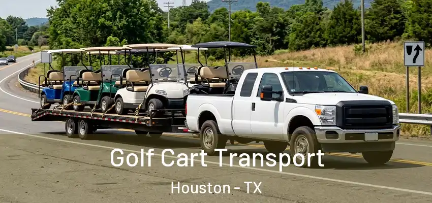  Golf Cart Transport Houston - TX